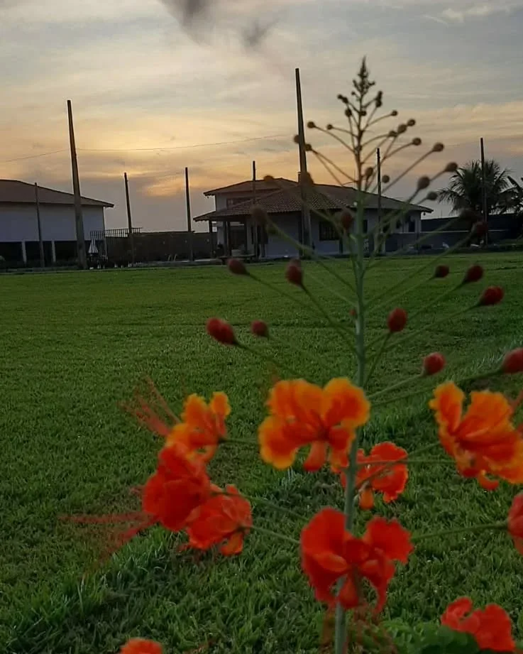 Chácara Aymmas - Espaço 1 — foto 9