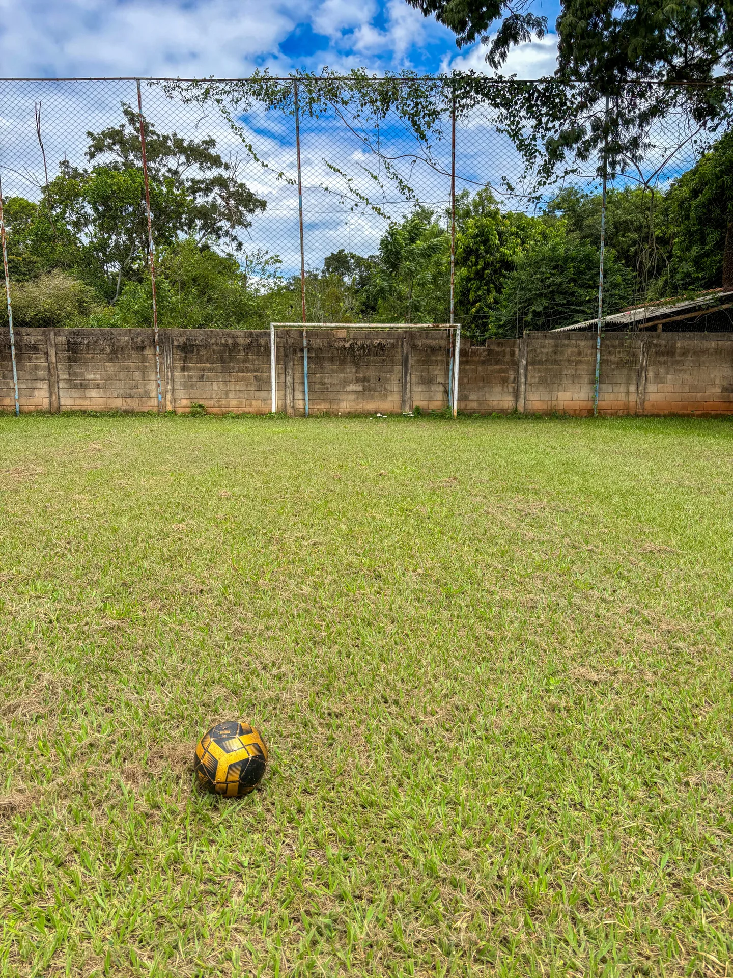 Chacara E-15 — foto 24