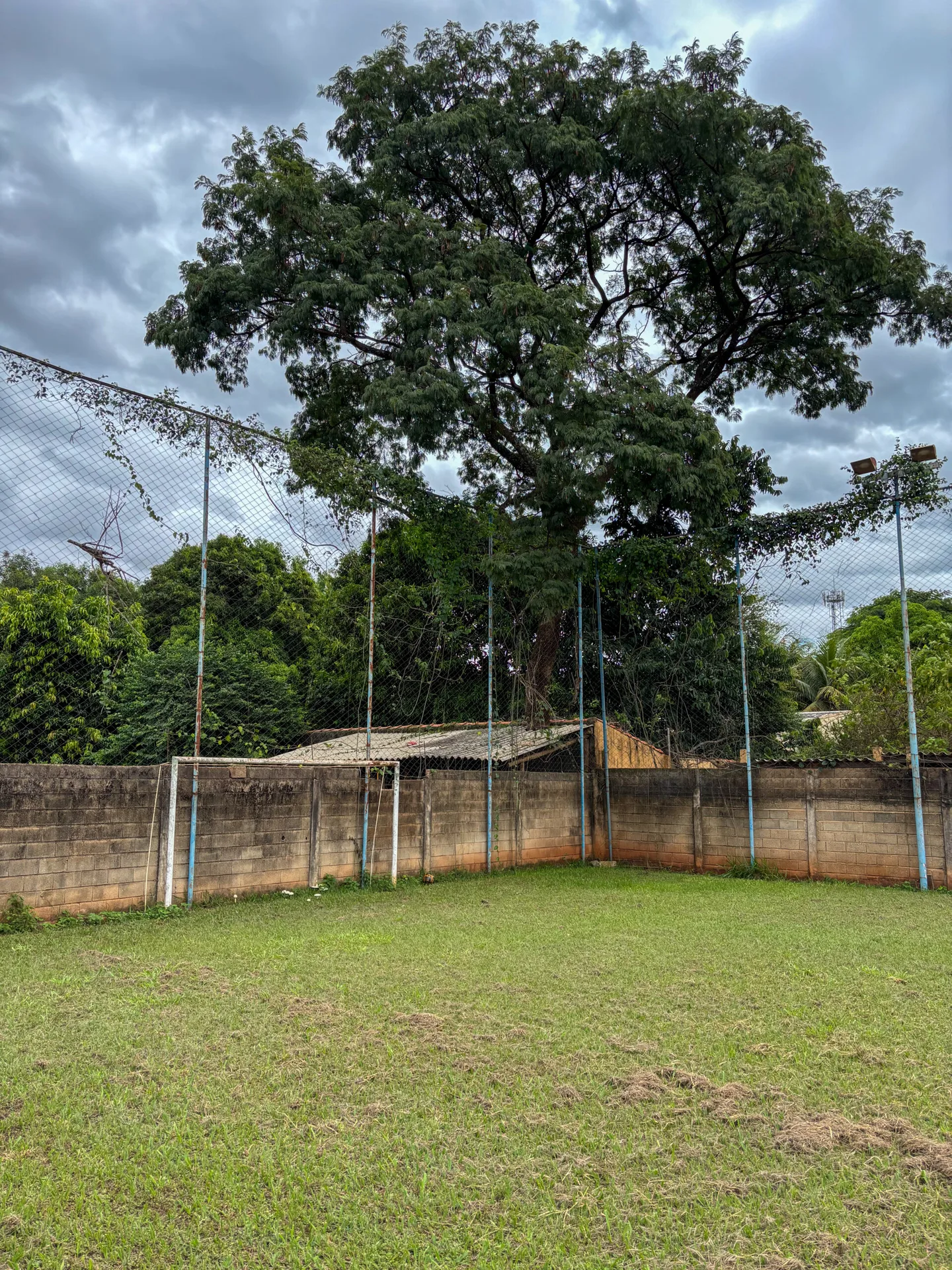 Chacara E-15 — foto 25
