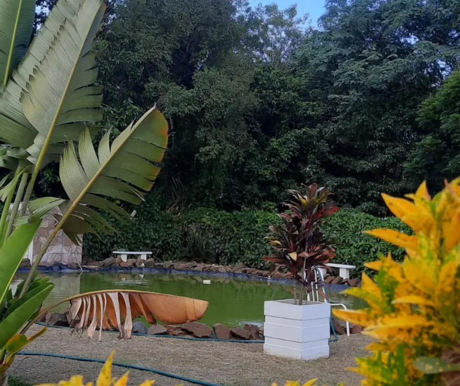 Recanto da Mata — foto 5