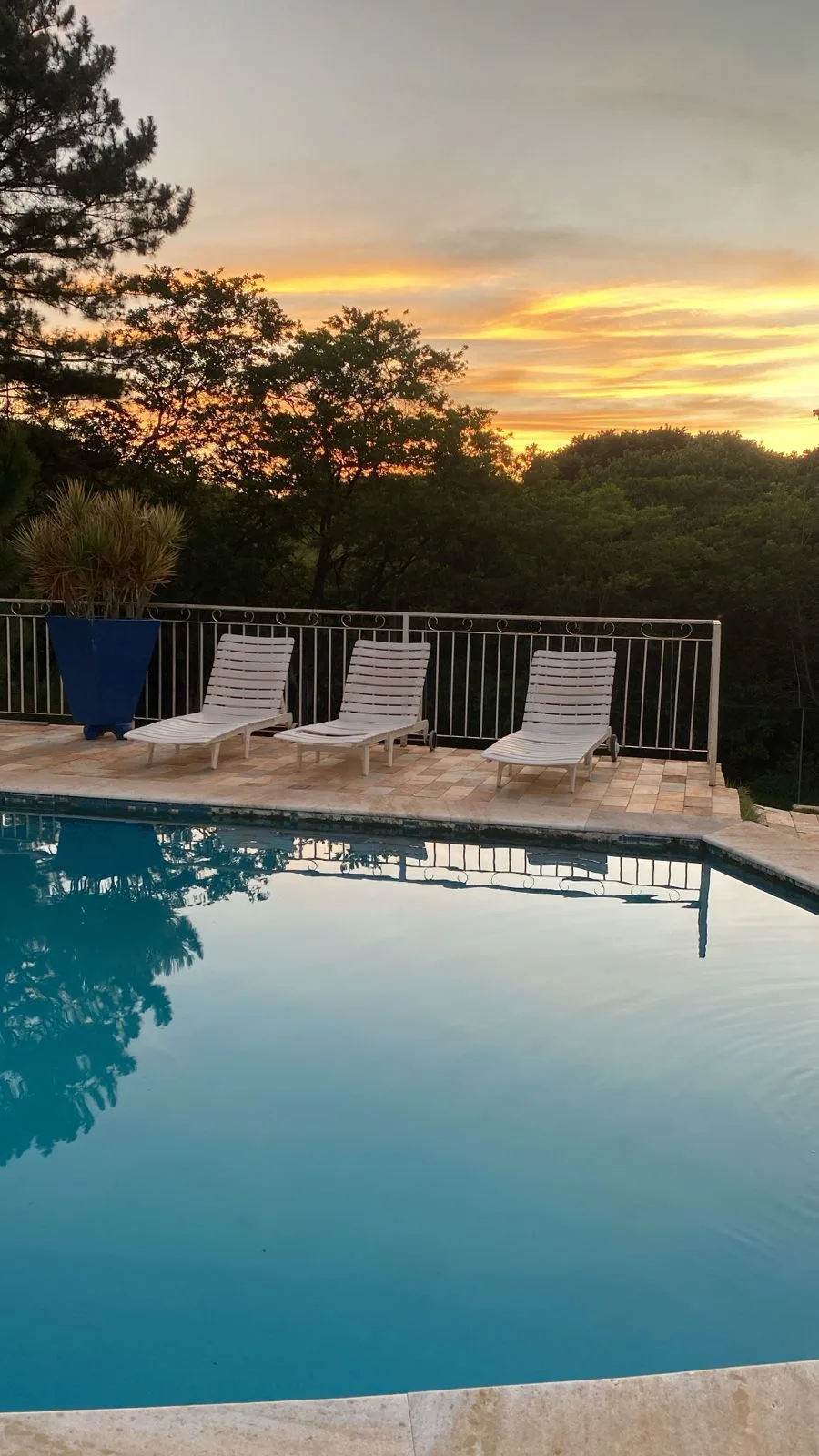 Espaço dos Leões — foto 3
