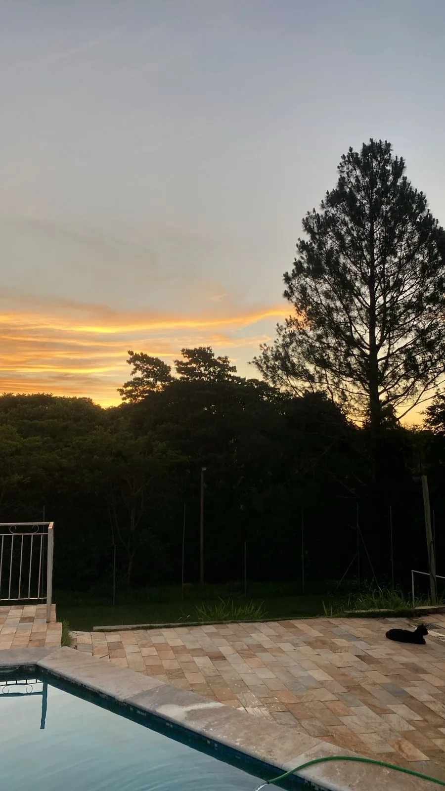 Espaço dos Leões — foto 10