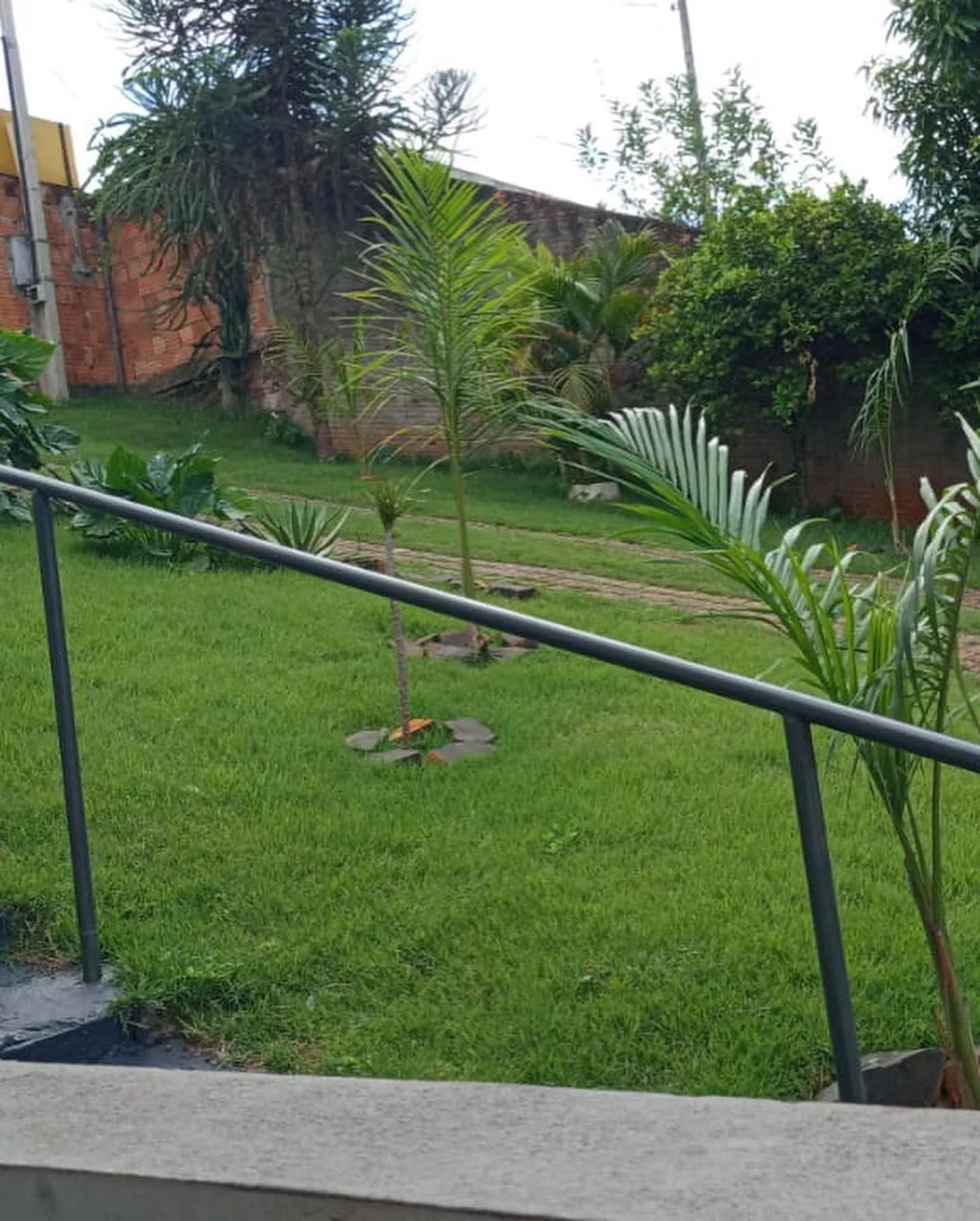 Chácara Recanto Renasce — foto 5