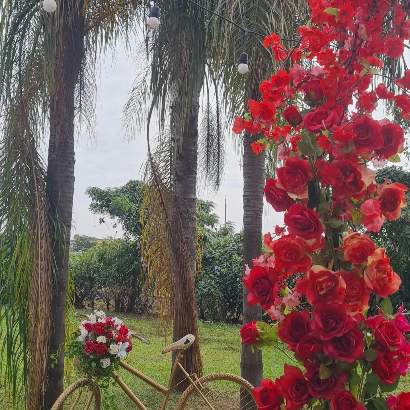 Espaço Jaqueline Flores — foto 3