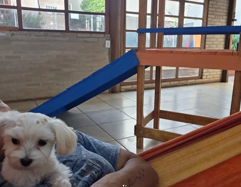 Cantinho Pet — foto 9