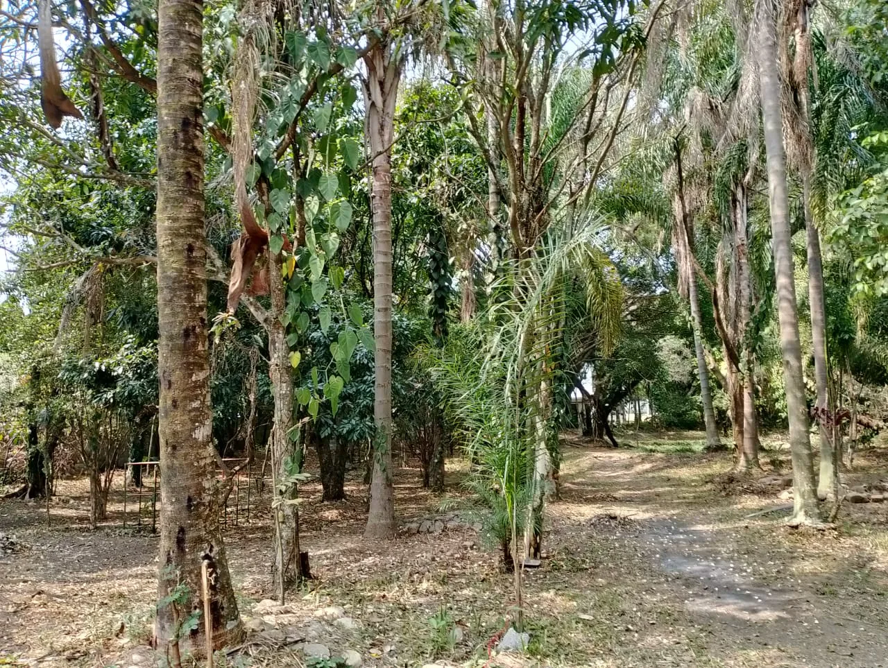 Chácara alvorada jundiai — foto 10