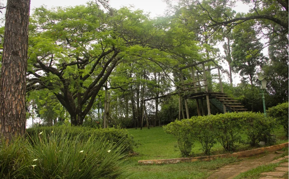 Chacara Gramado — foto 9