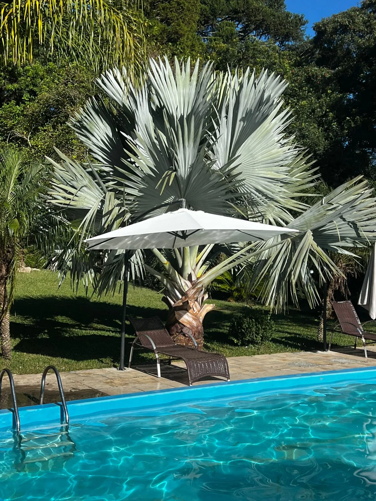 Chácara Sonho Azul — foto 2