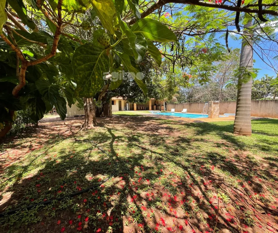 Chácara Toka da Onça — foto 11