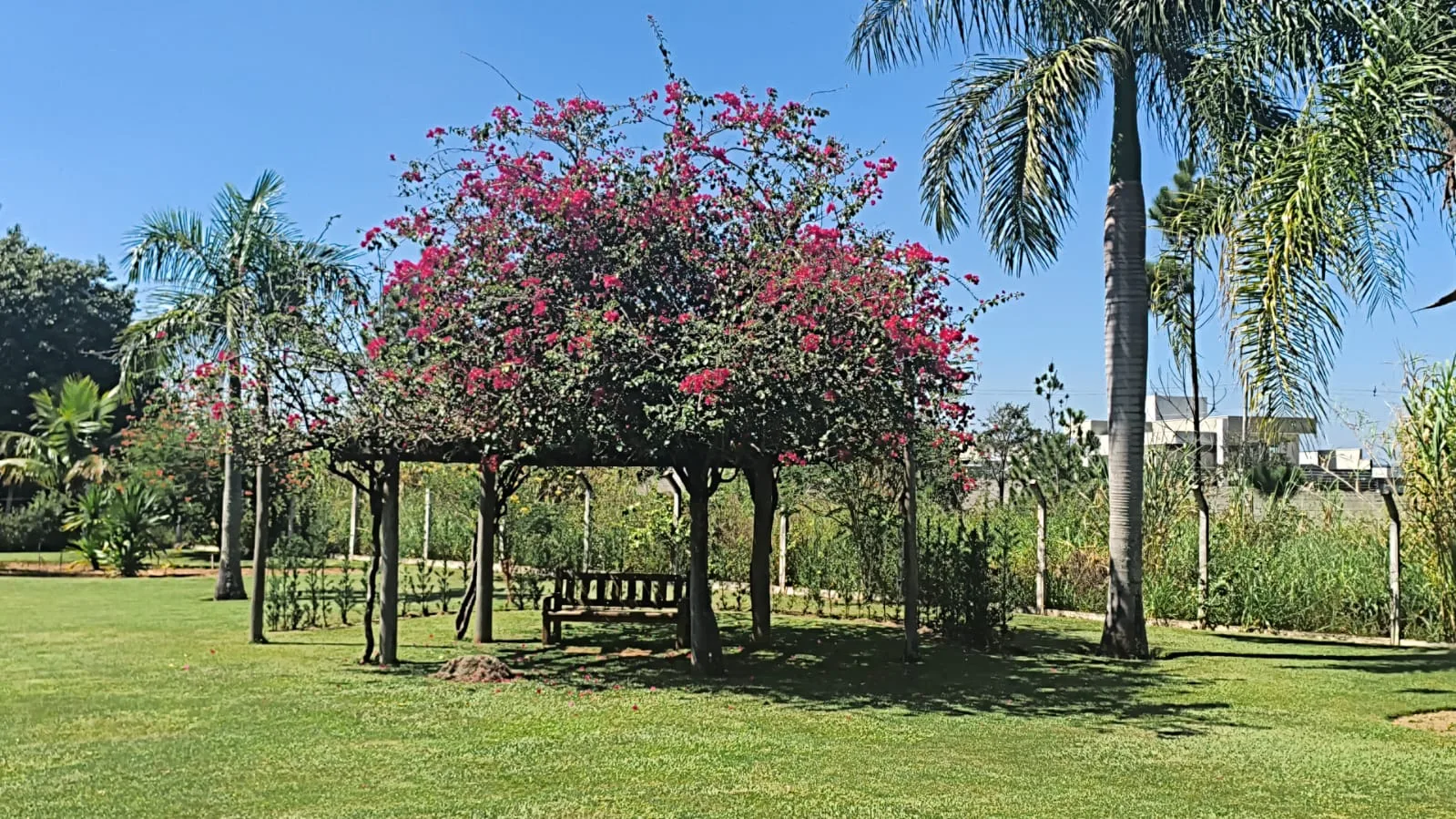 Espaço 55 — foto 6
