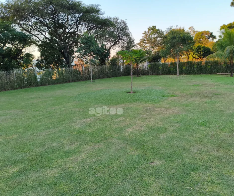Espaço 55 — foto 18