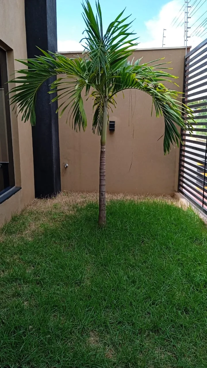 Espaço Buriti — foto 7