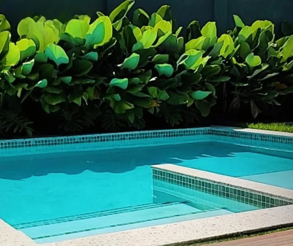 Espaço Oásis — foto 1