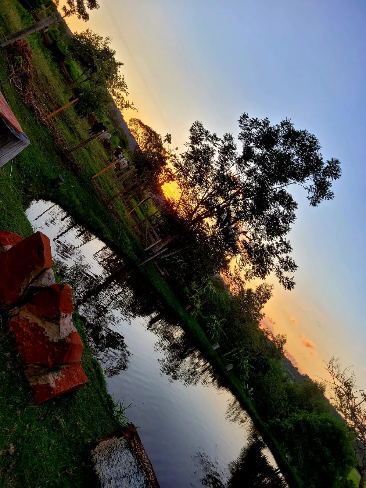 Casa do lago — foto 7