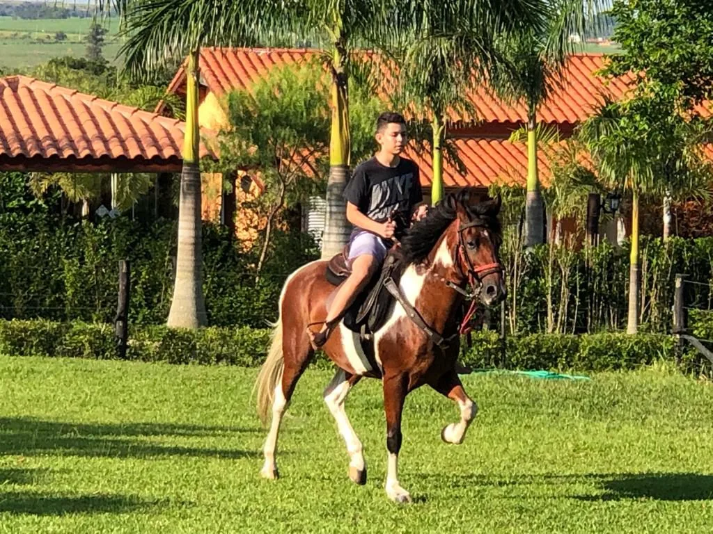 Haras São Francisco I — foto 16