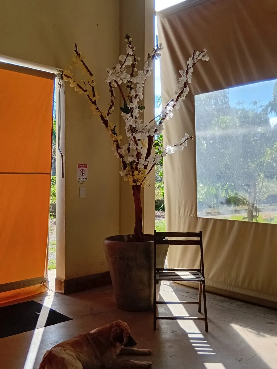 Recanto Nature — foto 4