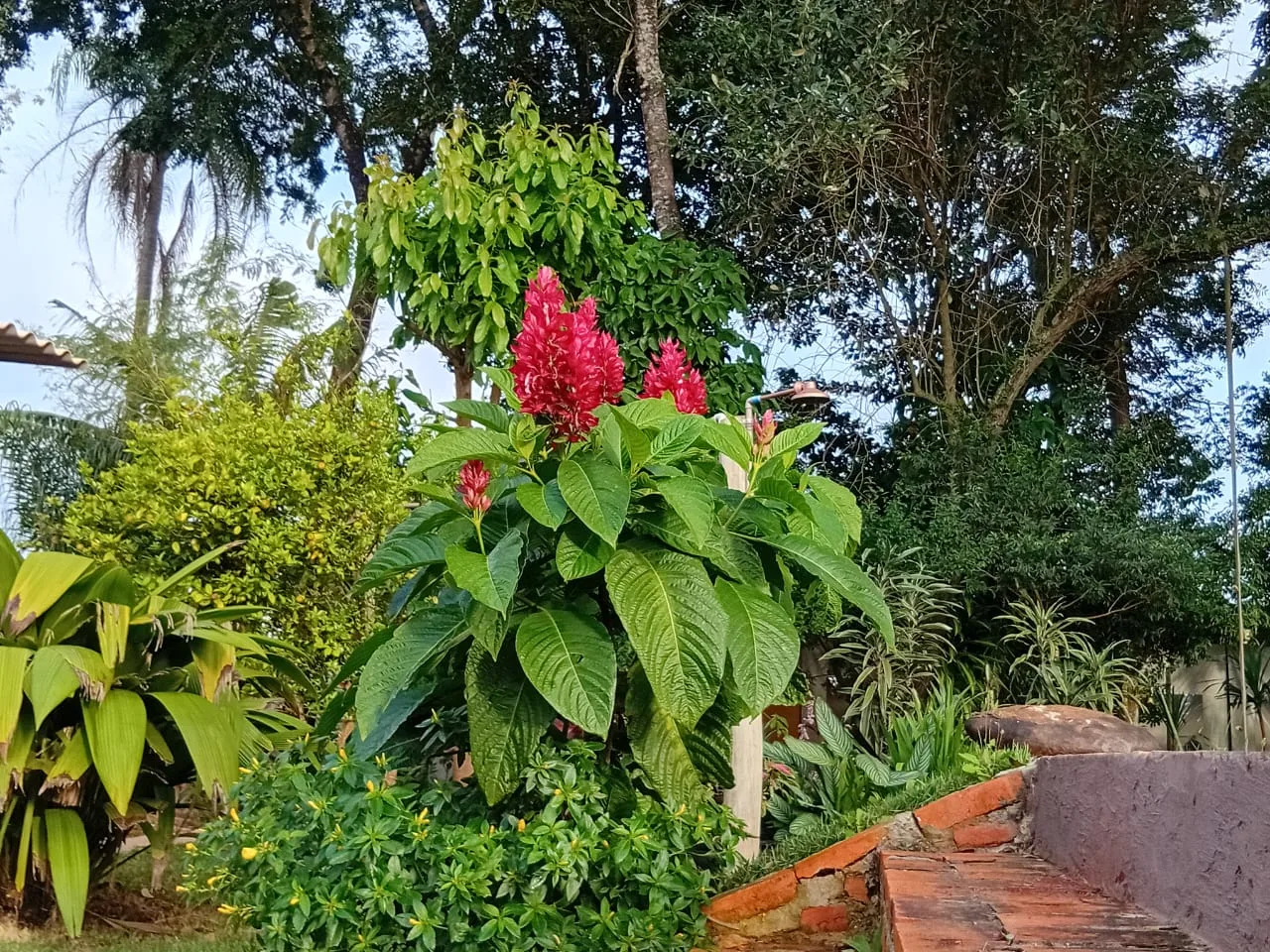 Recanto Nature — foto 8