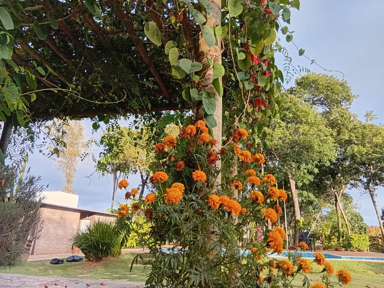 Recanto Nature — foto 9