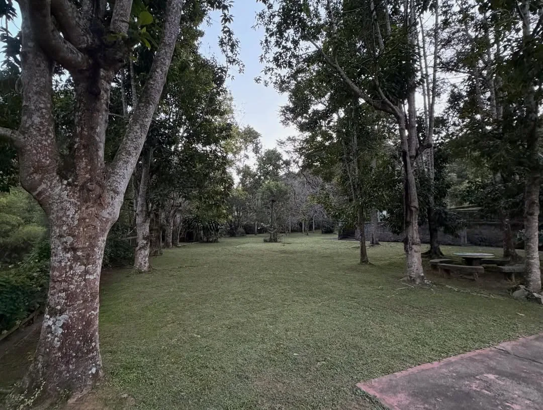 Sítio Casari — foto 10