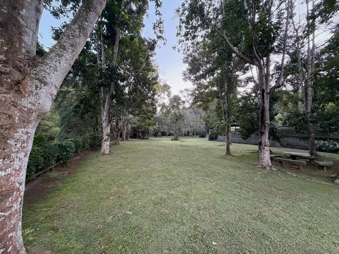 Sítio Casari — foto 11
