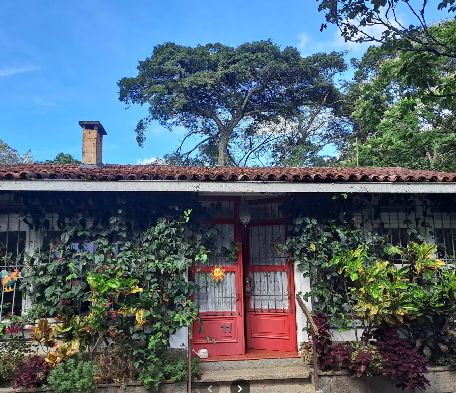 Sítio Casari — foto 7