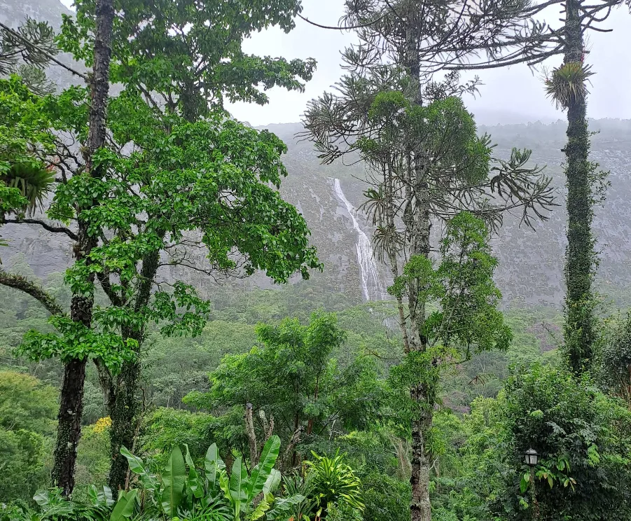 Sítio Casari — foto 12