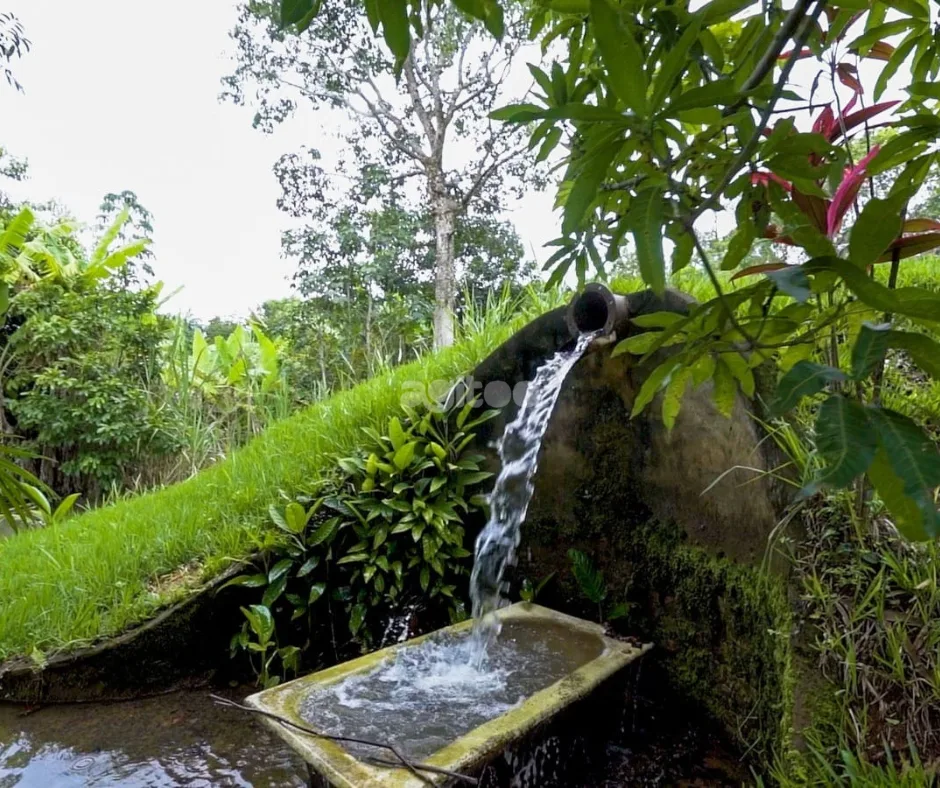 Sitio Medalha Milagrosa — foto 6