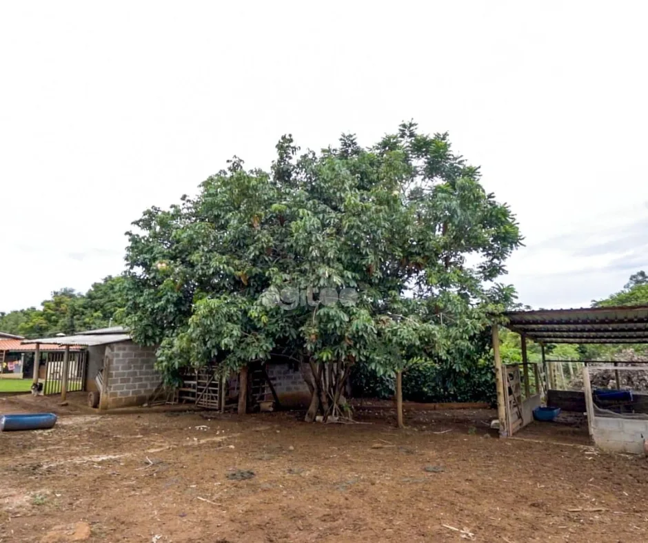 Sitio Medalha Milagrosa — foto 7