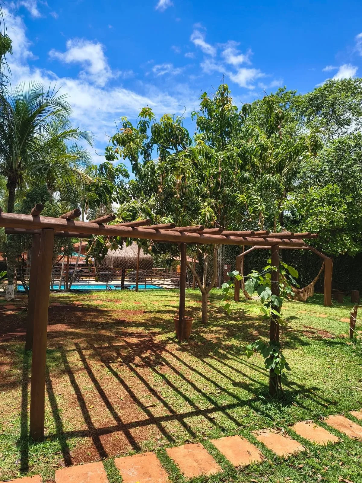Villa Domitilla Gastrobar & Pet Place — foto 3