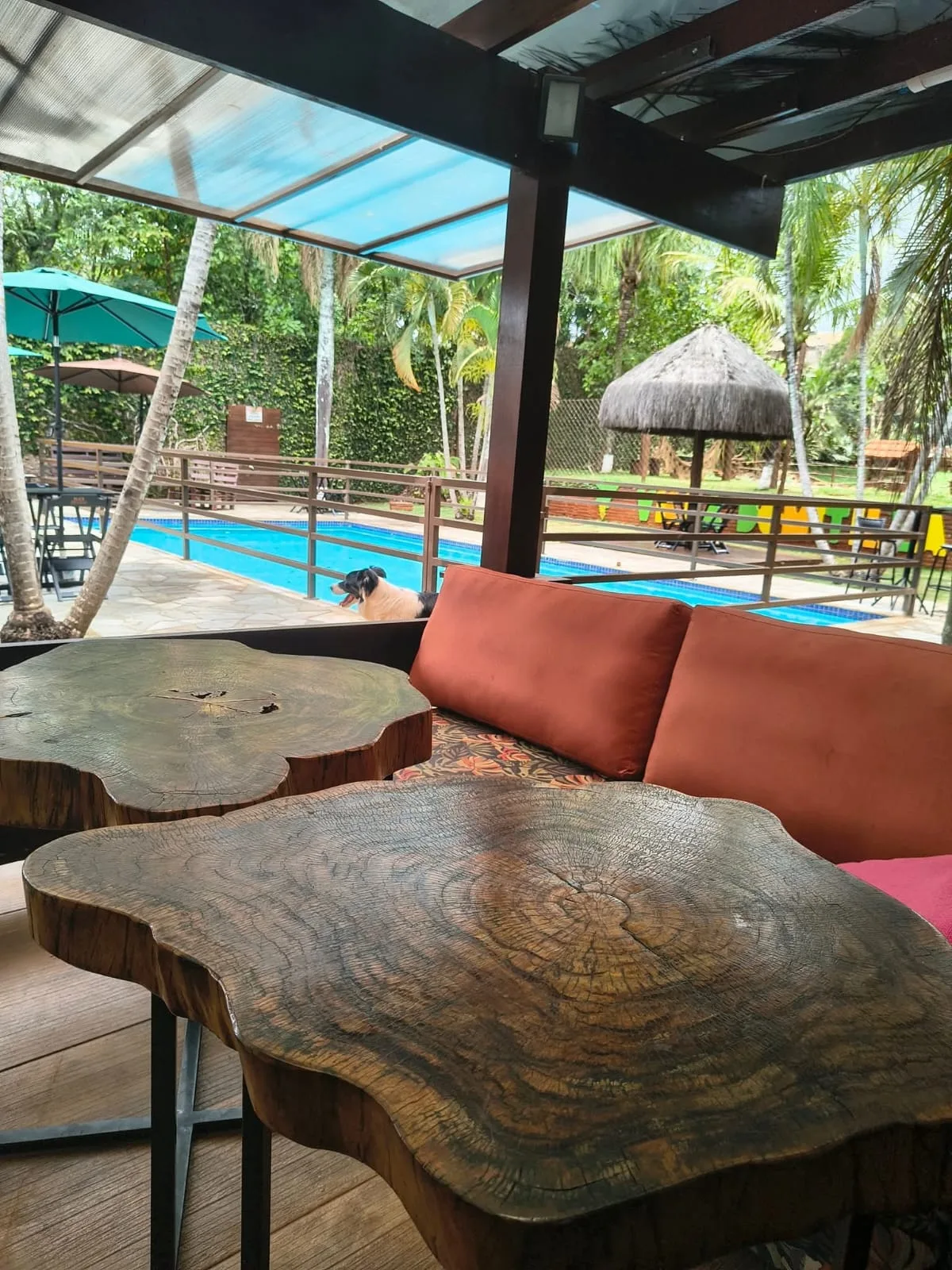 Villa Domitilla Gastrobar & Pet Place — foto 9