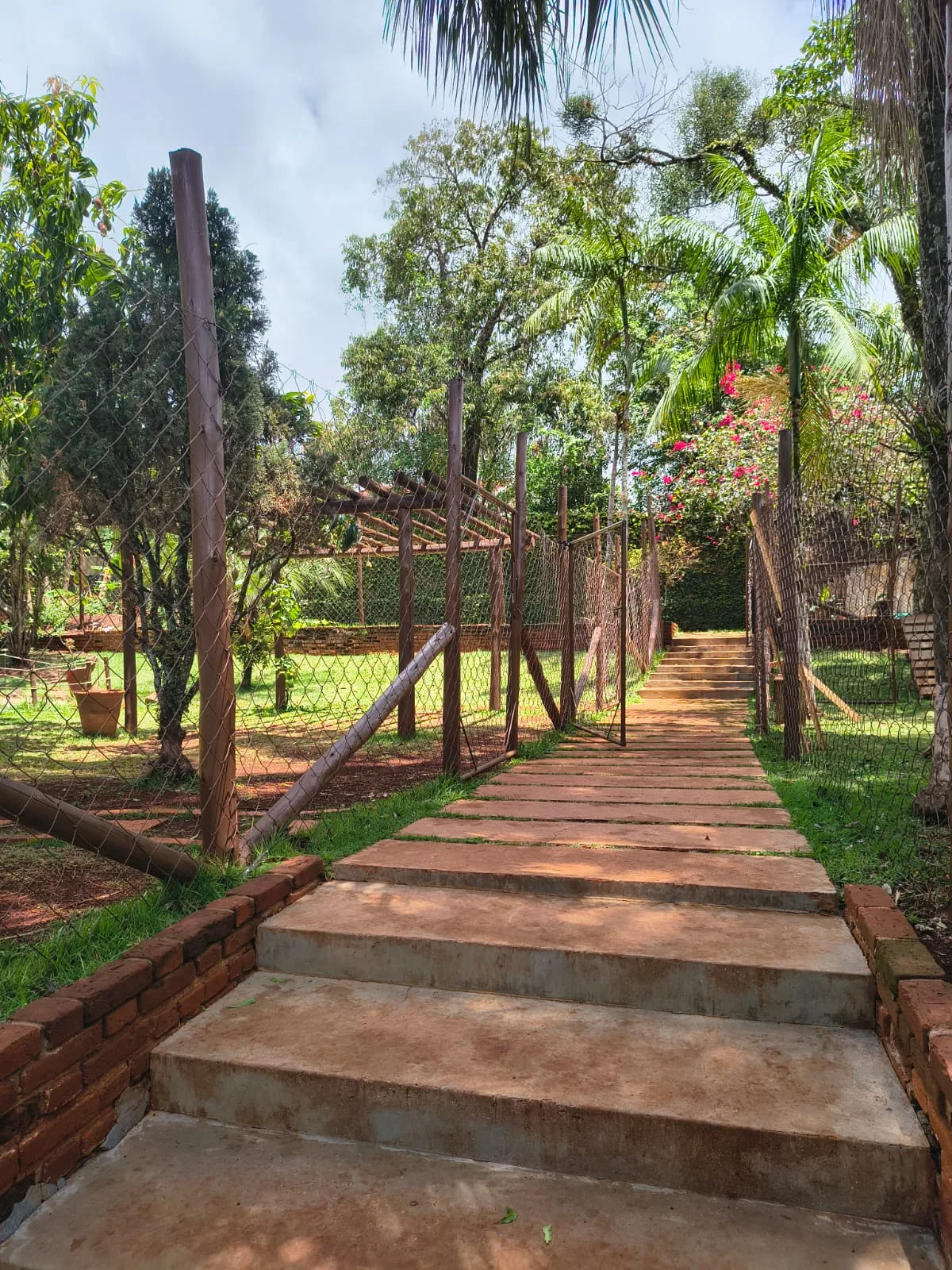 Villa Domitilla Gastrobar & Pet Place — foto 17