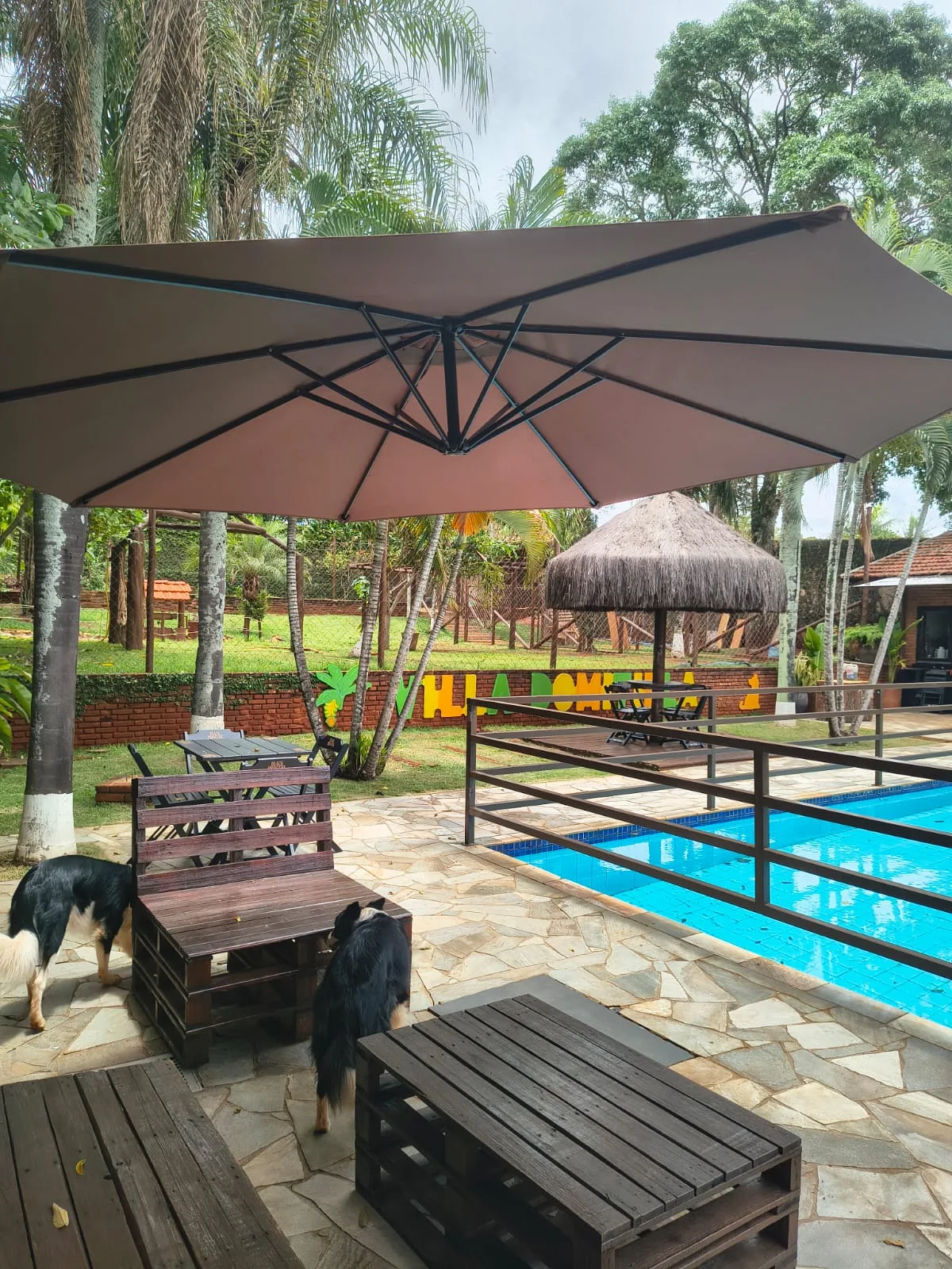 Villa Domitilla Gastrobar & Pet Place — foto 18